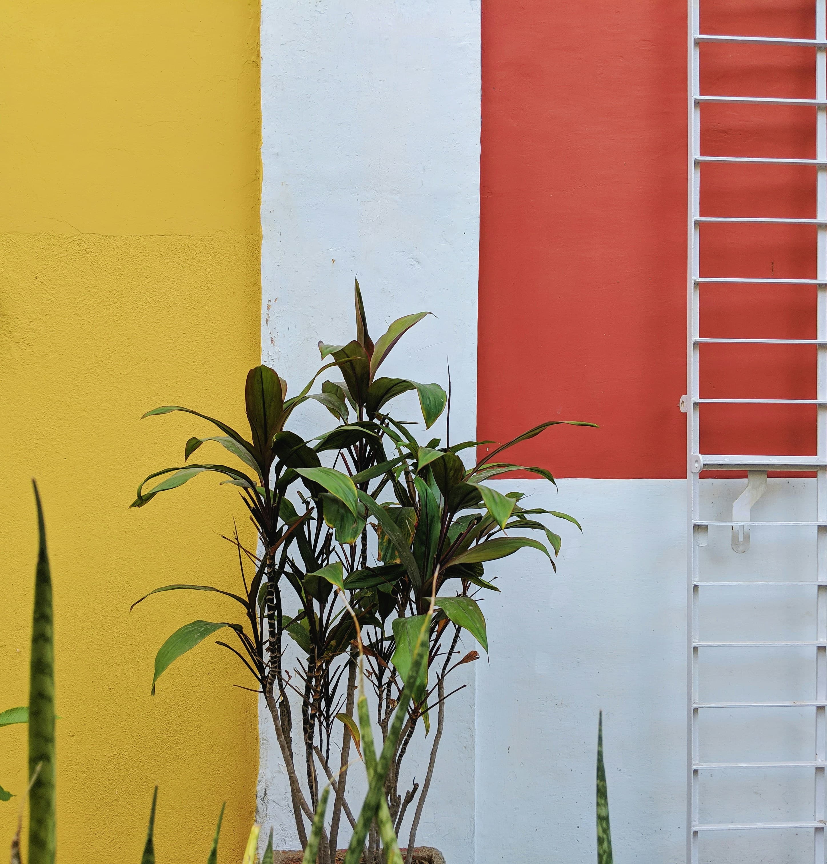 Matériel de rénovation